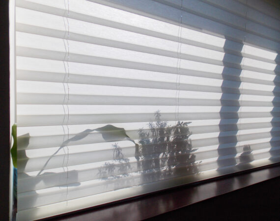 Jak wyczyścić rolety z pleśni?