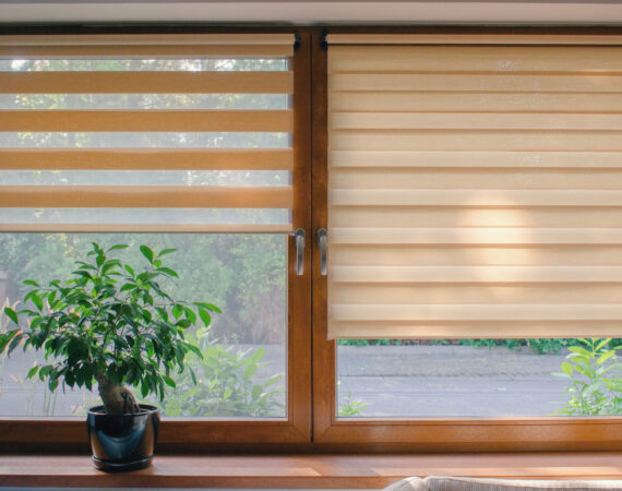 Plisy czy rolety dzień i noc?